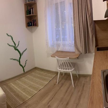 Mimosa Studio Cluj-Napoca Extérieur photo