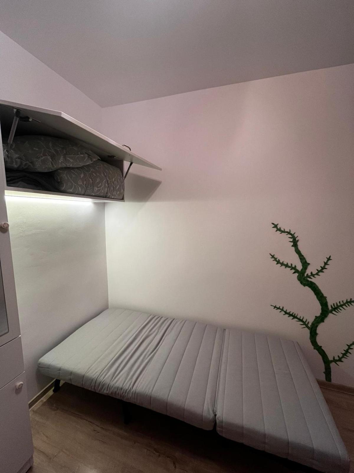 Mimosa Studio Cluj-Napoca Extérieur photo