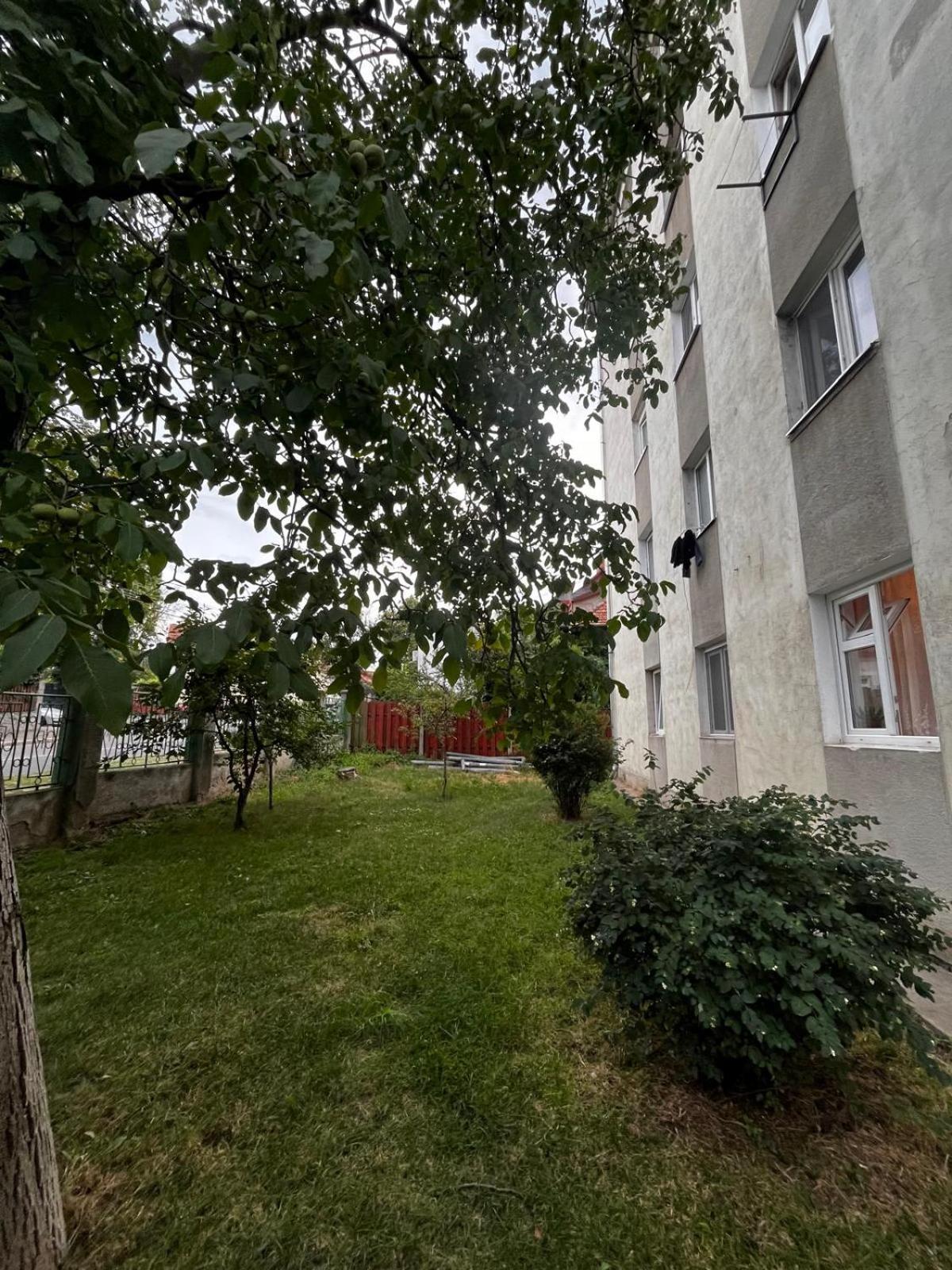 Mimosa Studio Cluj-Napoca Extérieur photo