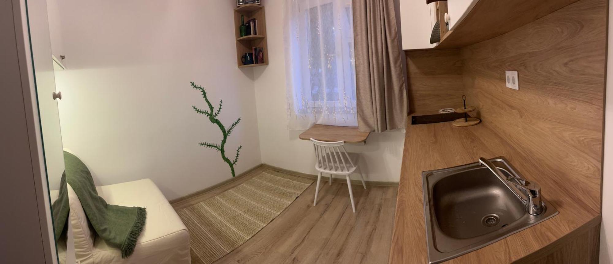 Mimosa Studio Cluj-Napoca Extérieur photo